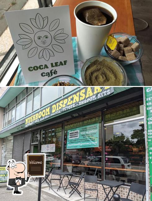 See the photo of Coca Leaf Cafe