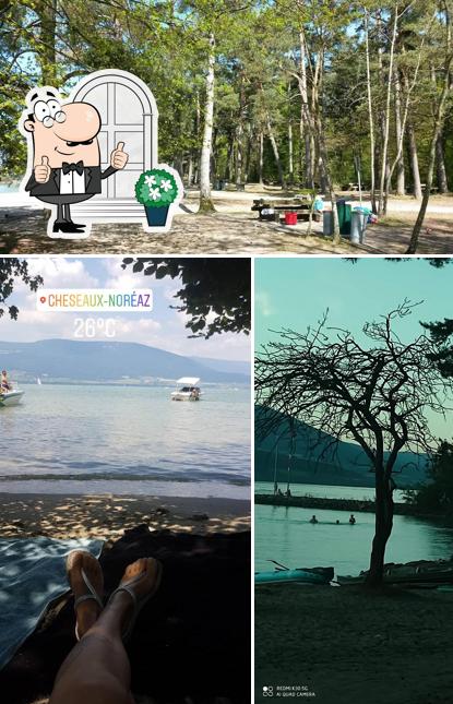 Gli esterni di Buvette de la Plage