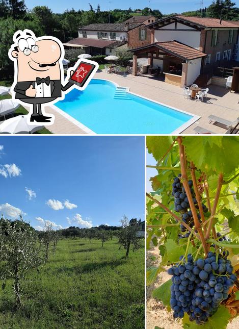 Gli esterni di Agriturismo e Cantina La Sabbiona