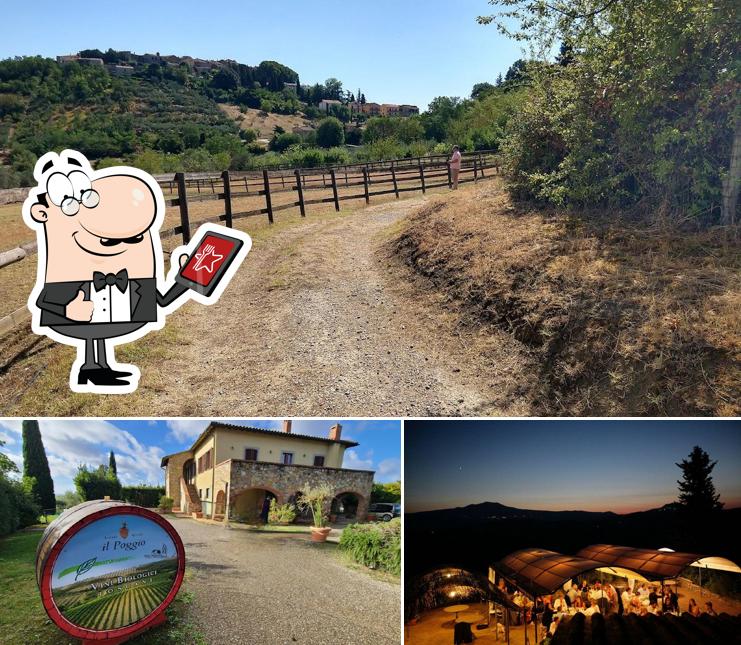 Curiosa tra la parte esterna di Agriturismo Ristorante Il Poggio