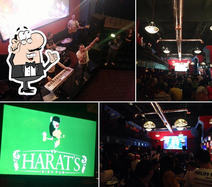 Harats pub садовая