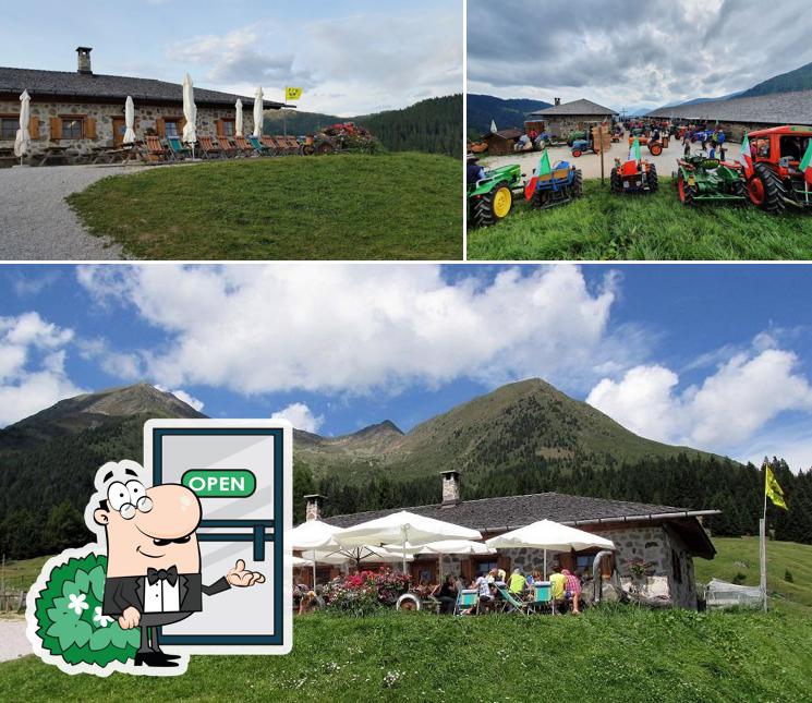 Guarda gli esterni di Malga di Cloz della famiglia Mairhofer-Flaim