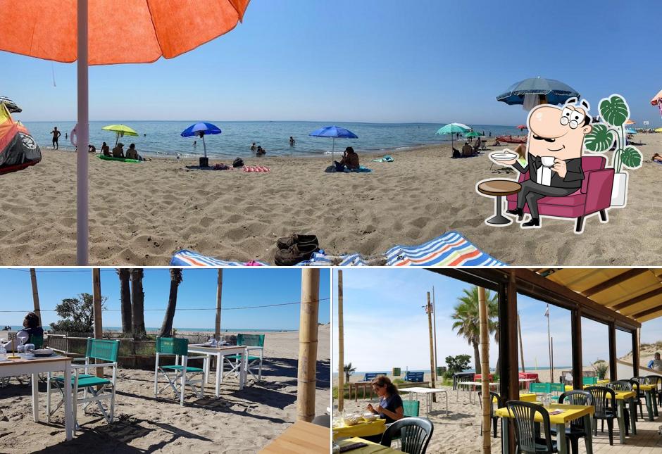 Dai un'occhiata agli interni di Spiaggia Libera Castel Porziano - Cancello 2