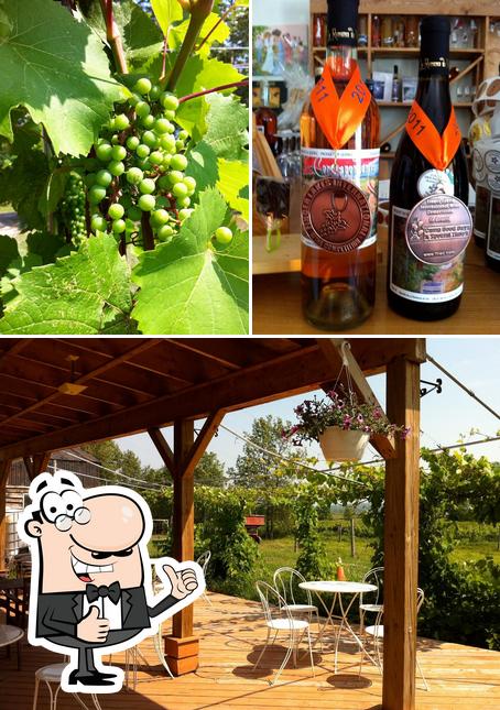 Voici une photo de Vignoble La Romance du Vin