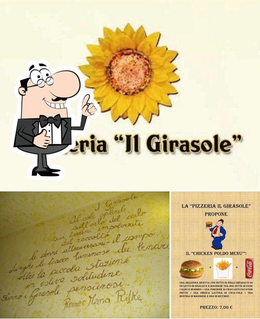 Guarda la immagine di Il Girasole