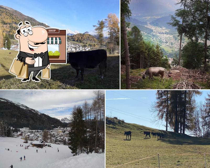 Jetez un coup d’œil à quoi ressemble Farmhouse La Pausa à l'extérieur