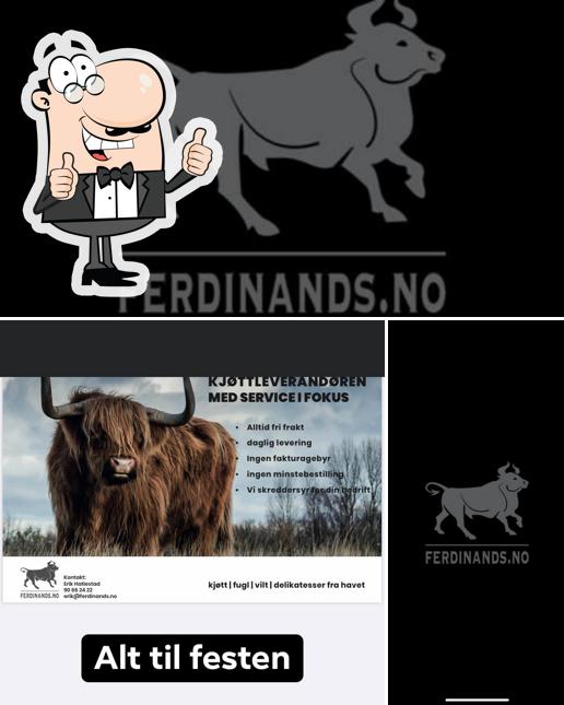 See the image of Ferdinands AS