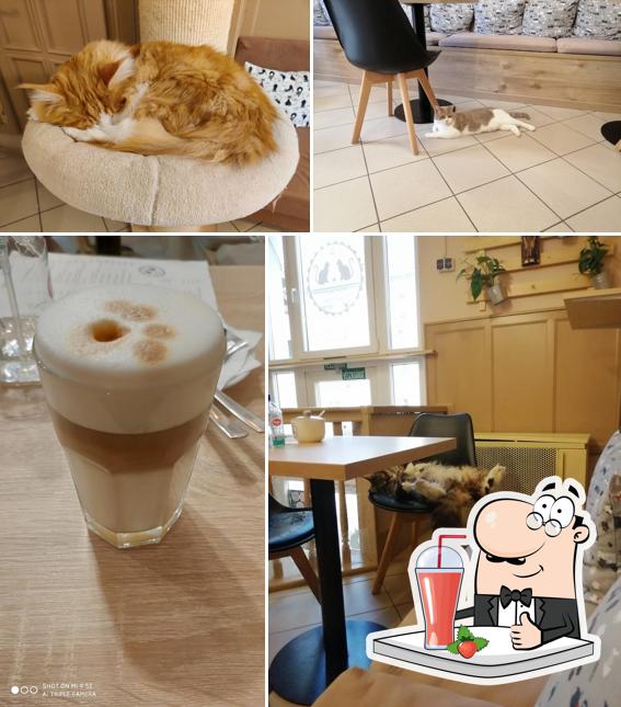 Насладитесь напитками в атмосфере "Purrfect Cat Cafe"