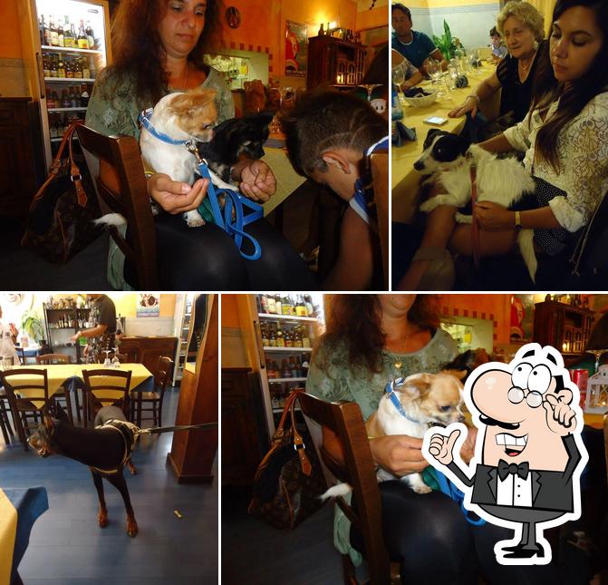 Gli interni di MAGIC Moments DA STEFY 1DOG Restaurant in Italia Viareggio