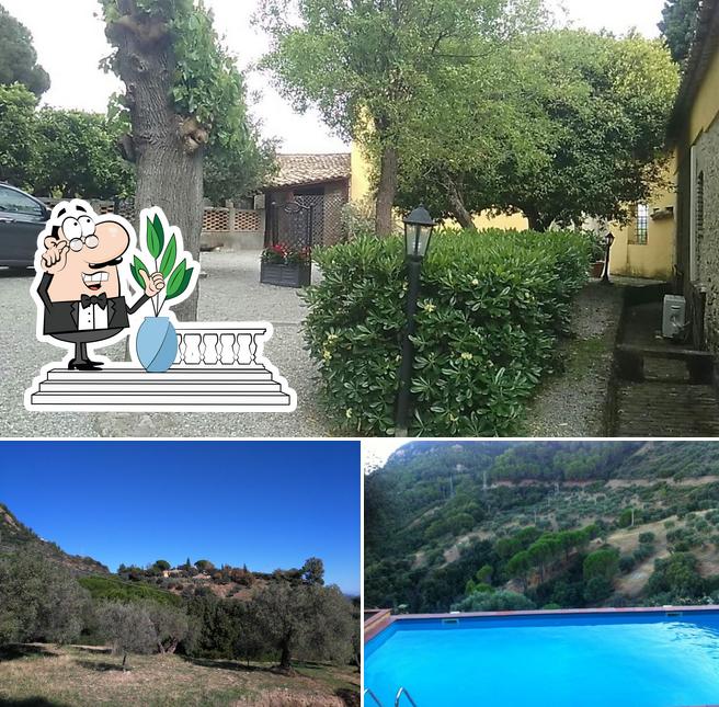 Guarda gli esterni di Azienda Agrituristica Le Puzelle