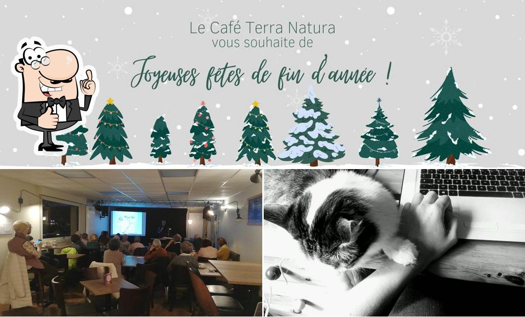 Regarder cette image de Le Café Terra Natura