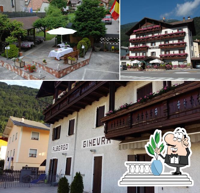 Guarda gli esterni di Albergo Ginevra