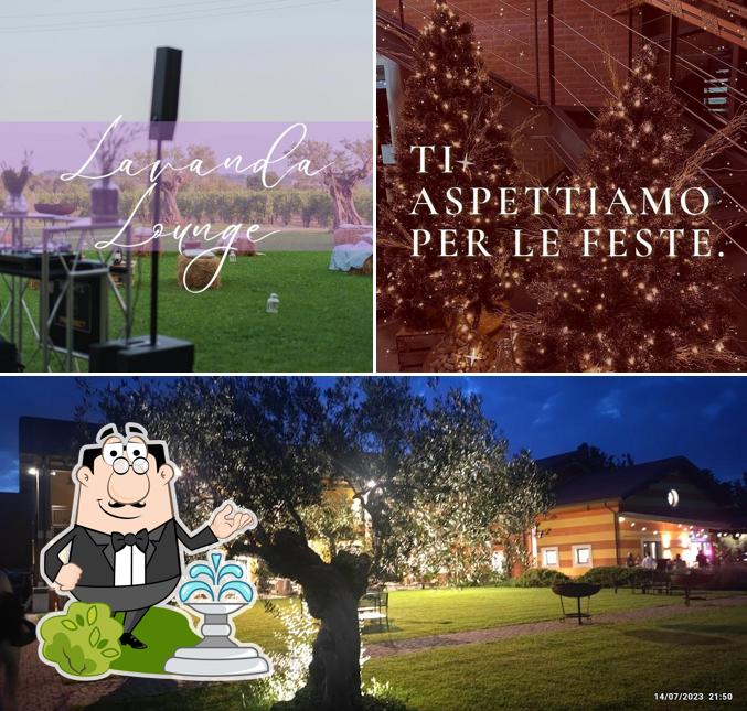 Guarda gli esterni di ACINO Restaurant