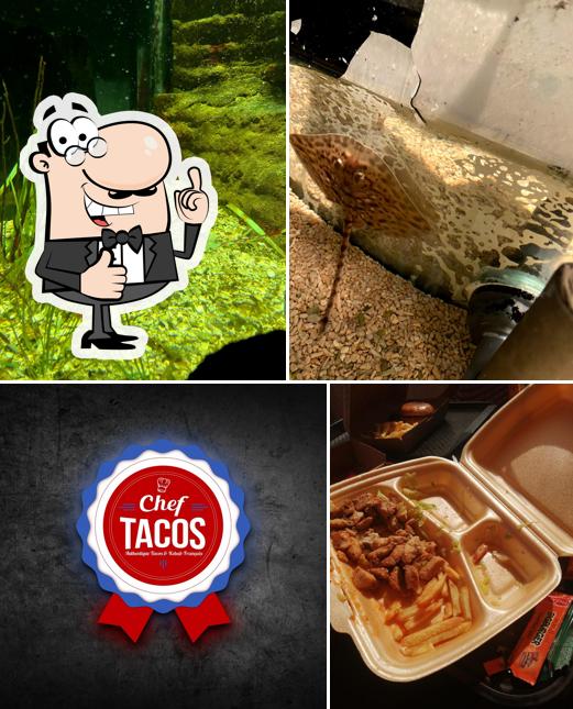 Voici une image de Chef Tacos Odysseum