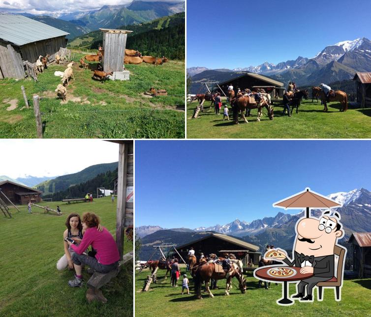 Profitez de la vue de l'espace ouvert de Auberge D'Alpage La Grand- Montaz - FERMÉ