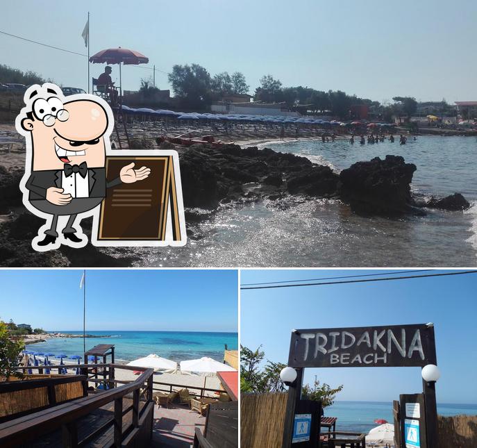 Curiosa tra la parte esterna di Tridakna Beach