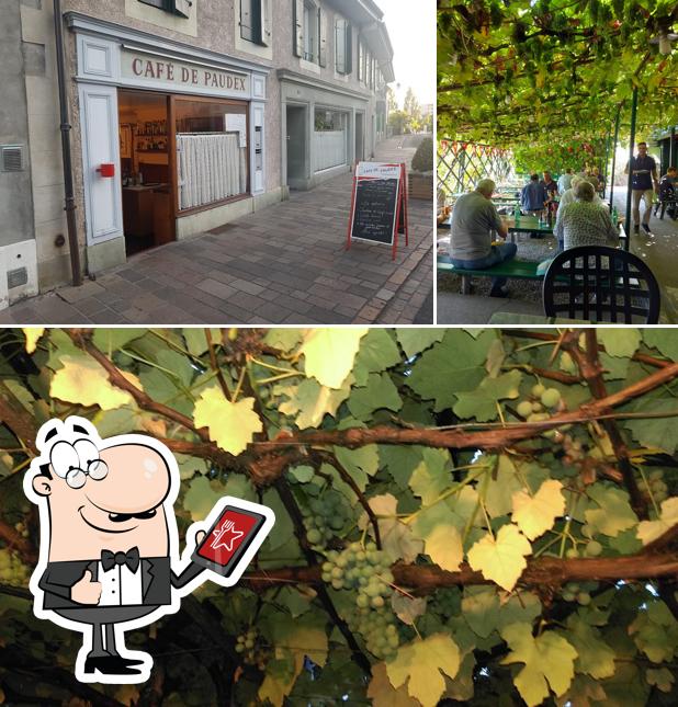 La foto della esterno e interni di Café de Paudex Sàrl