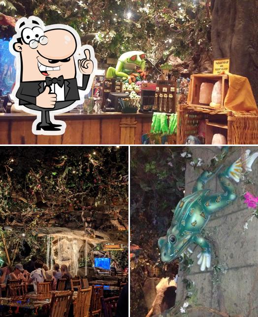 Here's a photo of Rainforest Cafe