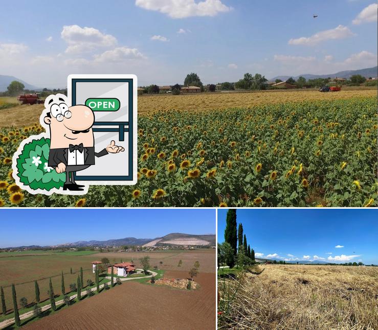 L'extérieur de Tenuta De Matthaeis Molino a Pietra Azienda Agricola Pasta Secca Enoteca Ciociaria