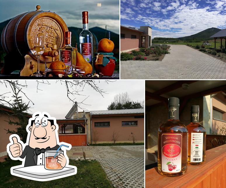 Observa las imágenes donde puedes ver bebida y exterior en Biopálinka és biolekvár Kóstolóház