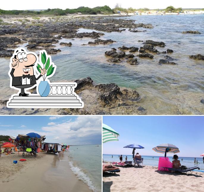 Puoi goderti l'aria fresca dal dehors di Spiaggia del Conte