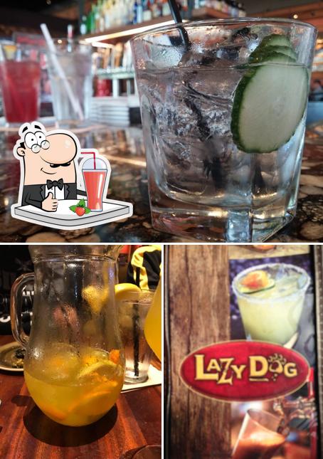 Lazy Dog Restaurant & Bar offers a variety of beverages