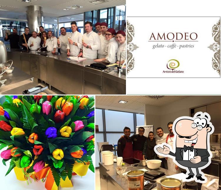 Amodeo - Bar Gelateria picture