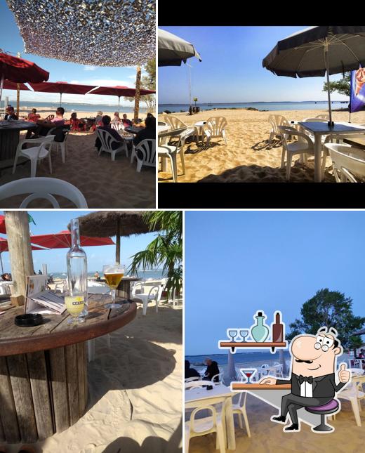 L'intérieur de L'Escale de la Plage Le Verdon sur Mer