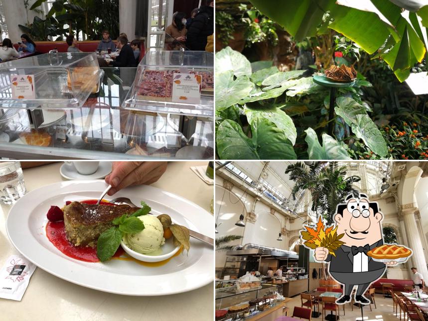 Voici une photo de Brasserie Palmenhaus Wien