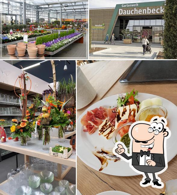 31+ Bilder Von Gartenwelt Dauchenbeck Stein, Aktuelle angebote und
