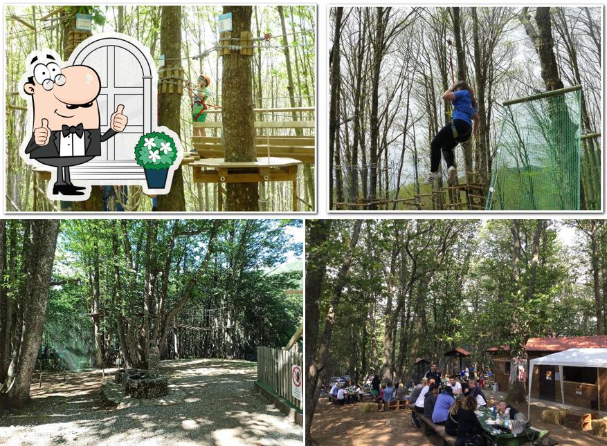 Guarda gli esterni di Parco degli Elfi