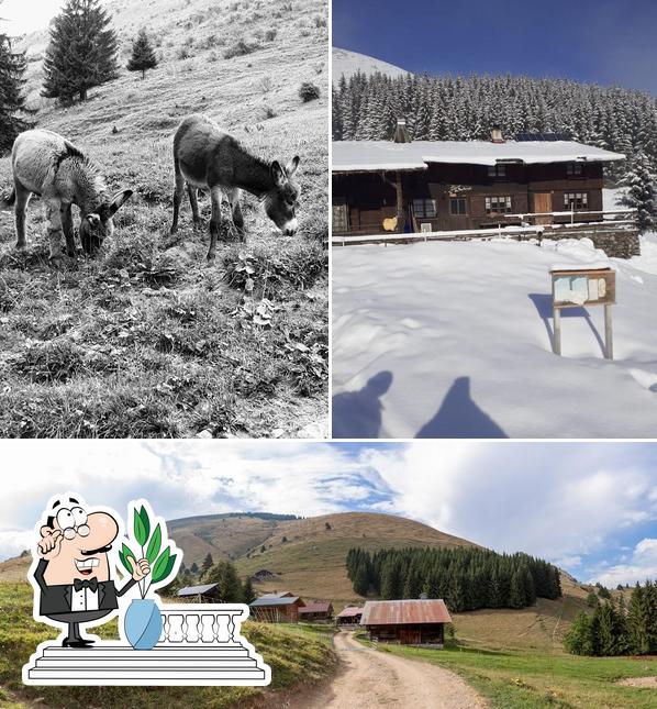 L'extérieur de Le Pastoral