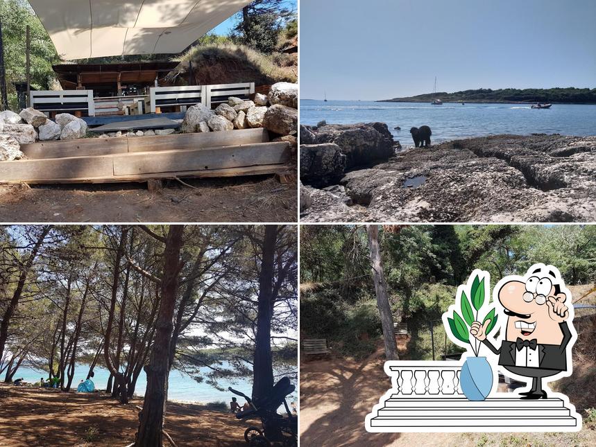 Jetez un coup d’œil à quoi ressemble Portich Beach Bar à l'extérieur