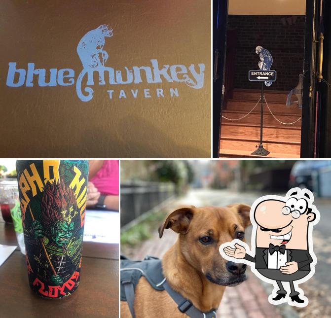 Here's a pic of Blue Monkey Tavern