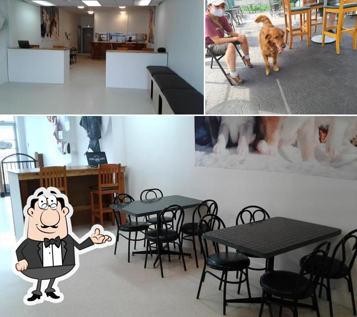 Découvrez l'intérieur de Bring Your Dog Cafe