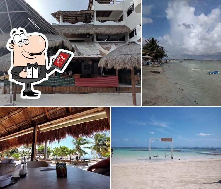 Pez Quadro Beach Break In Paradise Restaurant Mahahual Restaurant Reviews