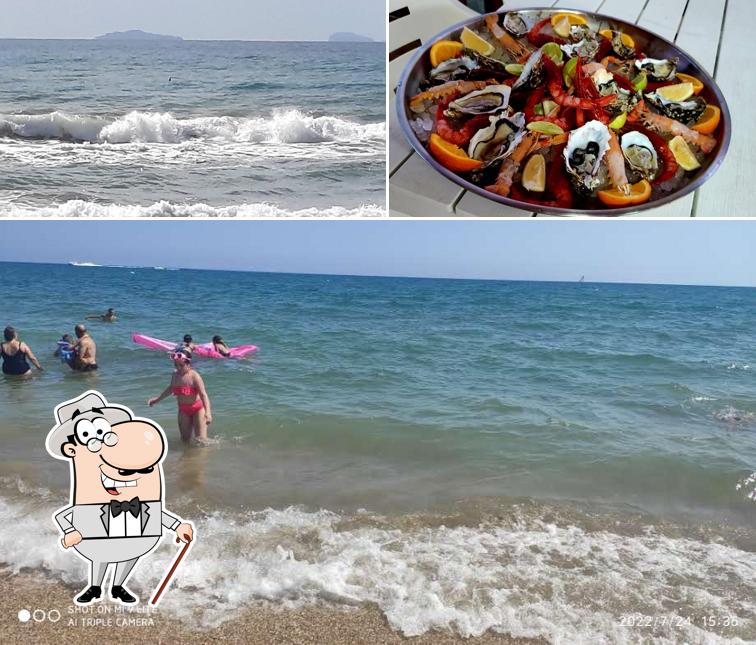 Guarda la foto che mostra la esterno e cibo di Terracina Beach