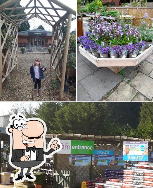 The Barn Garden Centre in Peterborough - Restaurant reviews