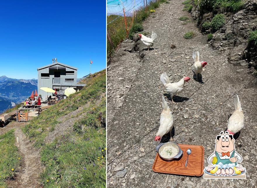 Ostriche al Cabane de la Tourche