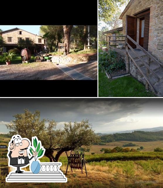 Gli esterni di Agriturismo Il Cantico delle Cicale