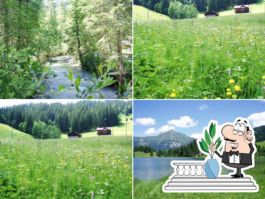 Guarda gli esterni di Lauenensee