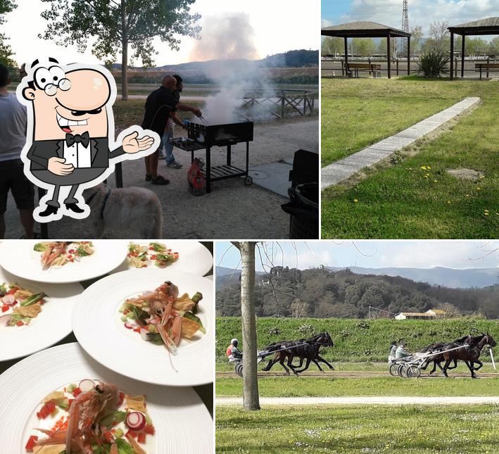 Ecco una foto di Ristorante Gusto e Buonumore