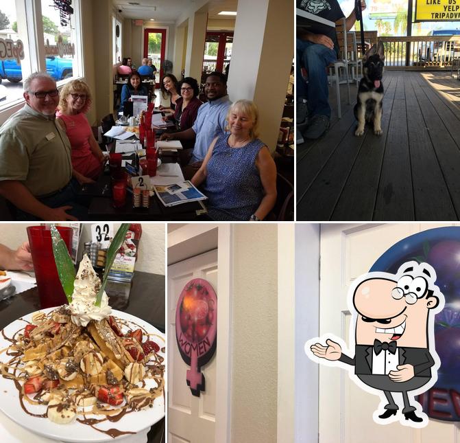 Speggtacular, 7924 Ulmerton Rd In Largo - Restaurant Menu And Reviews