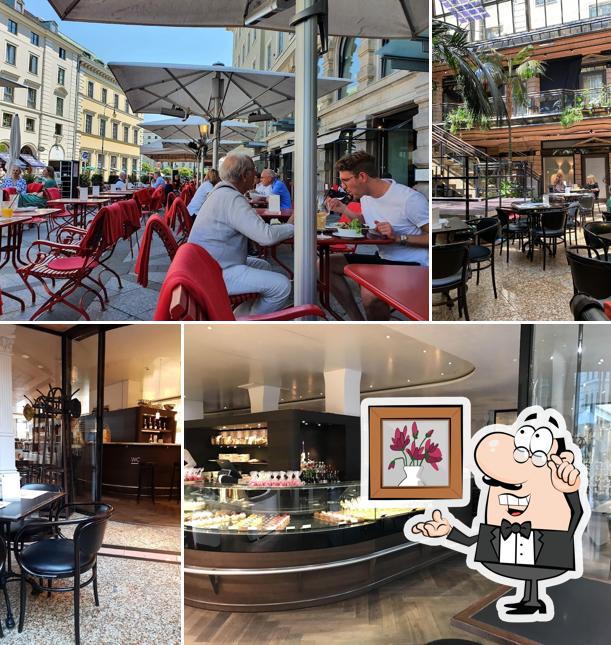 Cafe Luitpold München Brienner Str 11 Restaurantbewertungen