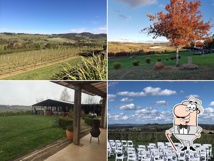 Borrodell Vineyard Cellar Door Wedding Venue in Orange