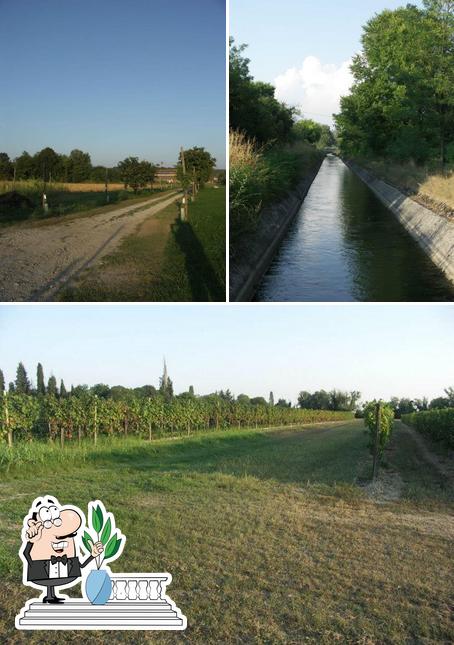 Gli esterni di Le Giarine Societa' Agricola Srl