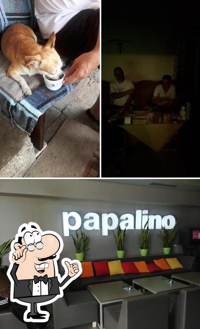 Gli interni di Cafe Papalino