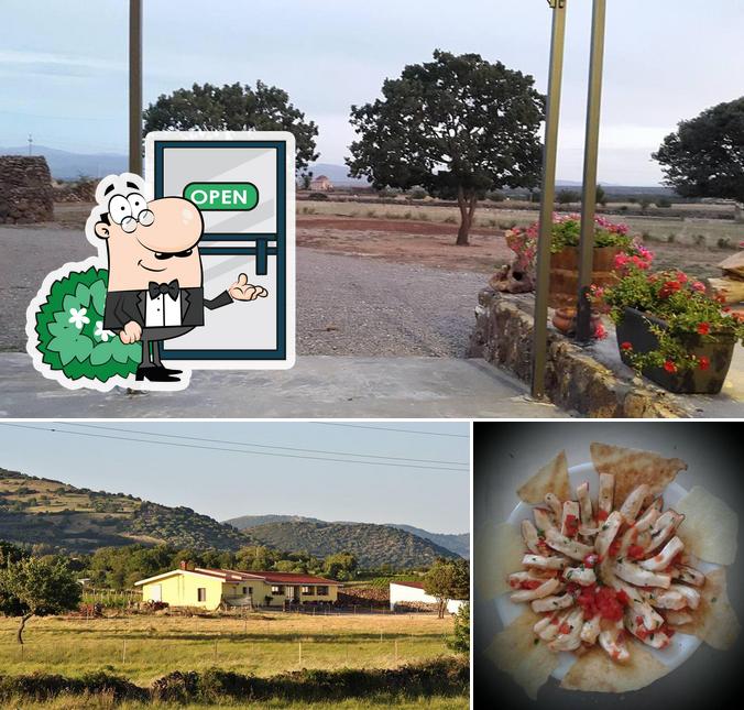 Tra le diverse cose da Agriturismo Santa Sarbana si possono trovare la esterno e cibo