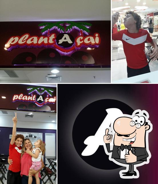 Look at this image of Planta Açaí - Tentações Gourmet