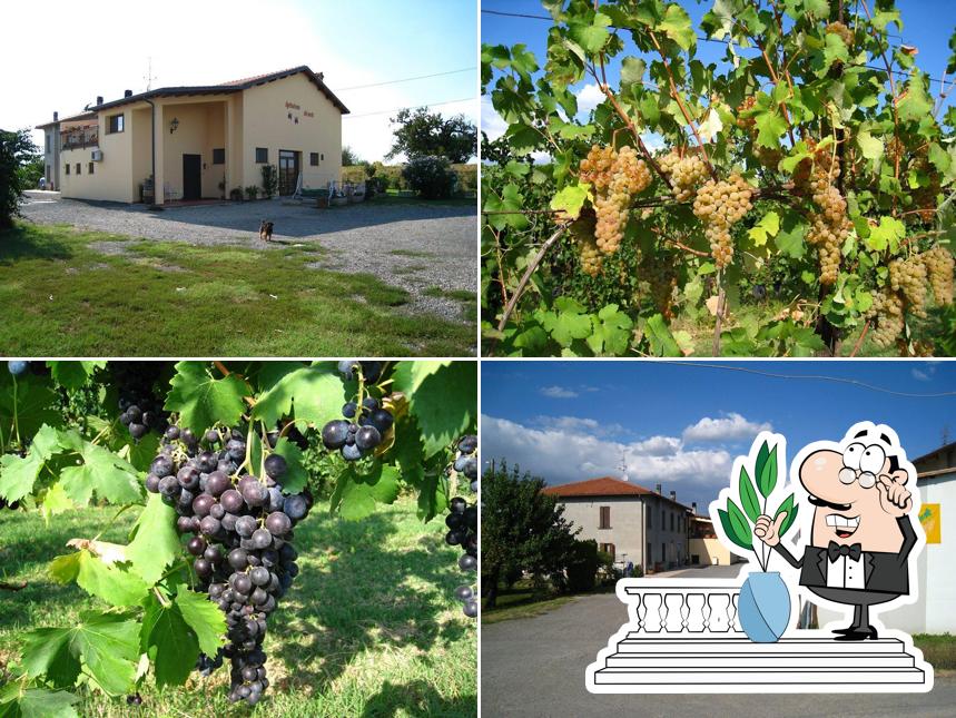 Gli esterni di Agriturismo del merlo